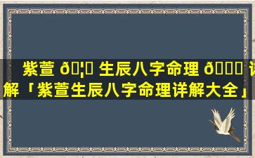 紫萱 🦈 生辰八字命理 🕊 详解「紫萱生辰八字命理详解大全」